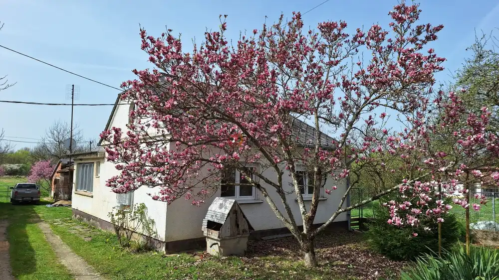 Vas megye - Kerkáskápolna