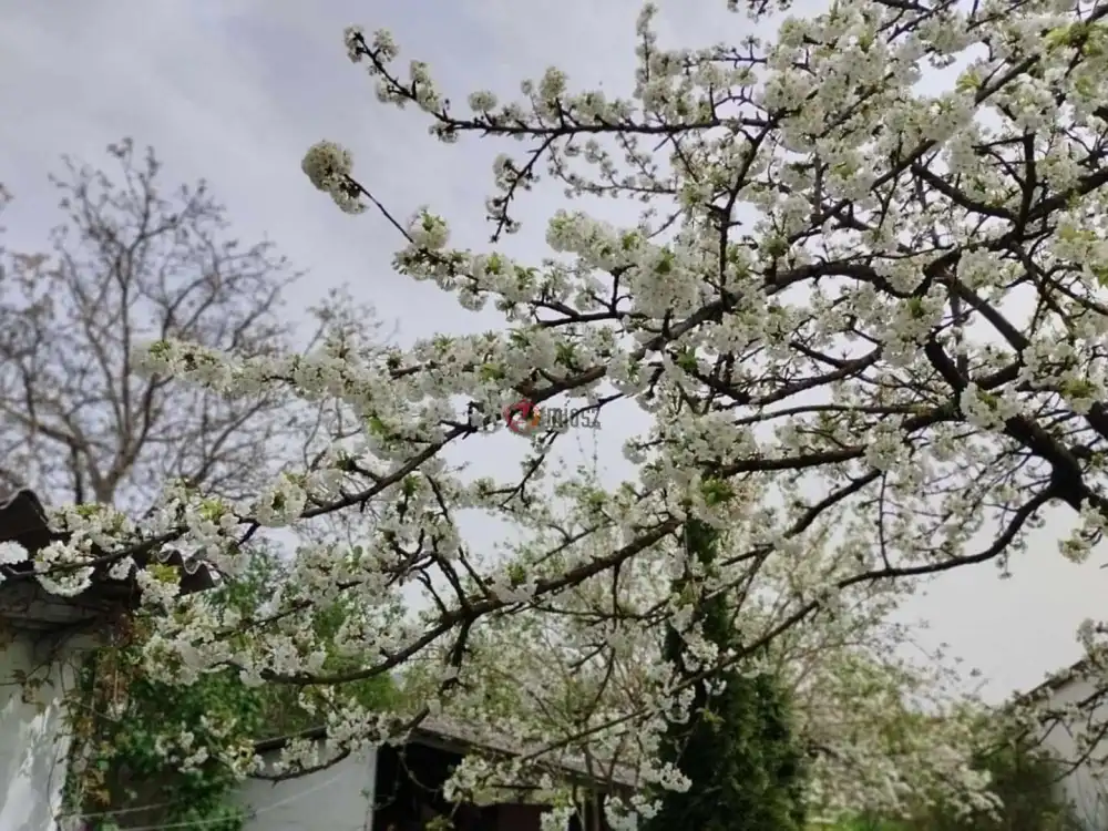 Zala megye - Keszthely