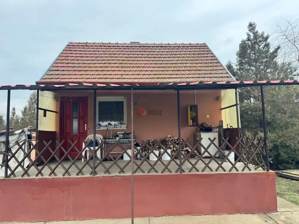 Bács-Kiskun megye - Kiskunfélegyháza