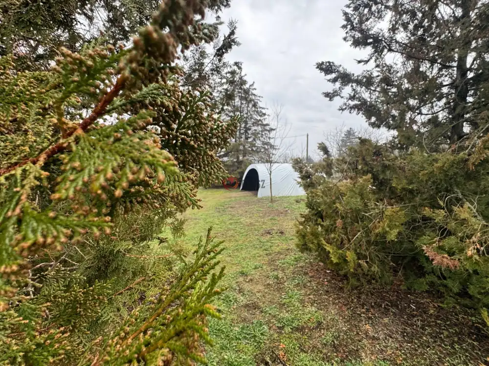 Bács-Kiskun megye - Kiskunfélegyháza