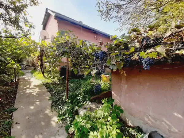 Eladó családi ház, Kisnémedi 3+1 szoba 81 m² 30 M Ft