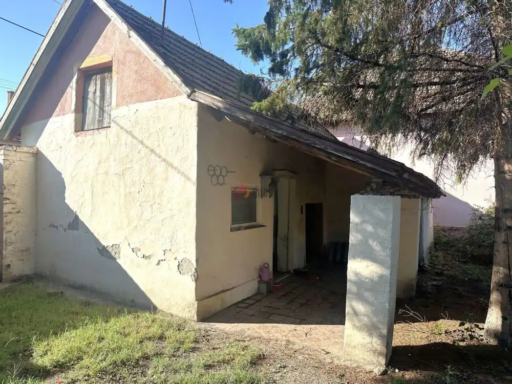 Csongrád megye - Kistelek