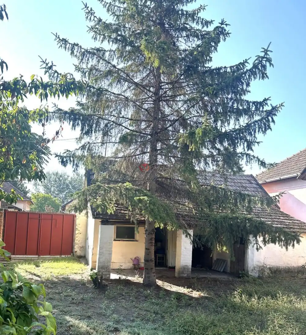 Csongrád megye - Kistelek