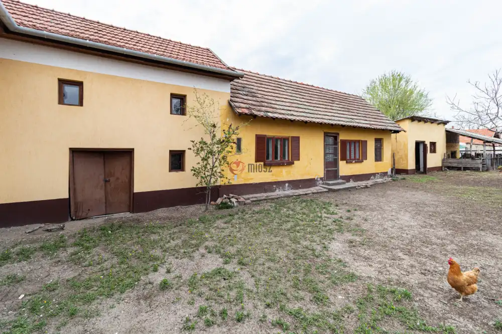 Csongrád megye - Kistelek