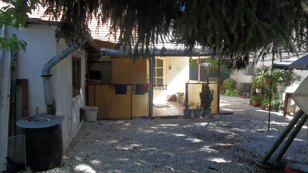Csongrád megye - Kiszombor