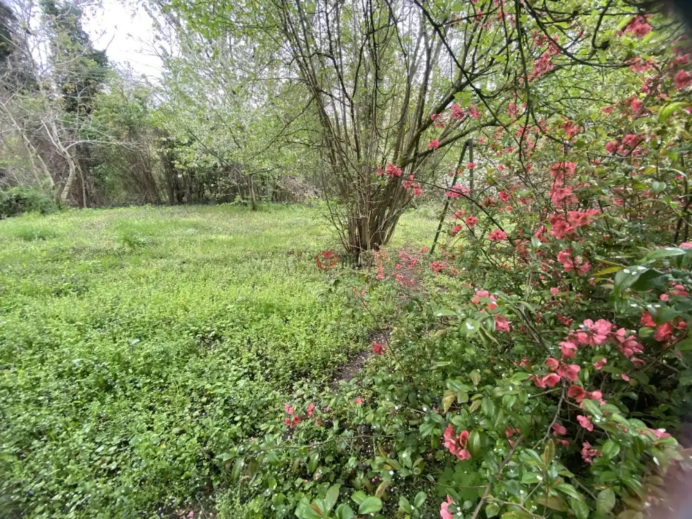 Komárom-Esztergom megye - Koppánymonostor