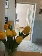 Komárom-Esztergom megye - Koppánymonostor