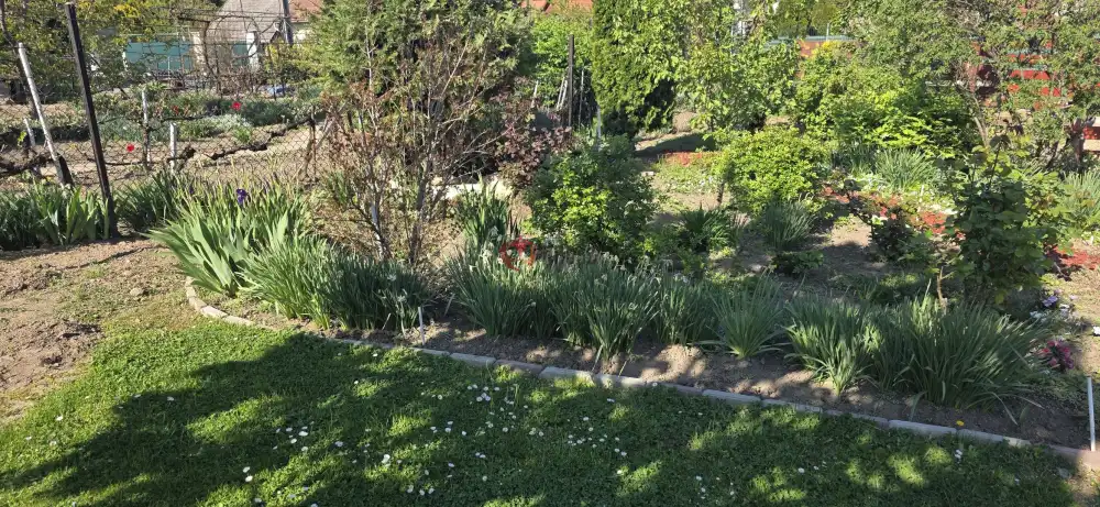 Fejér megye - Kulcs