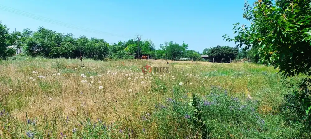 Bács-Kiskun megye - Kunpeszér