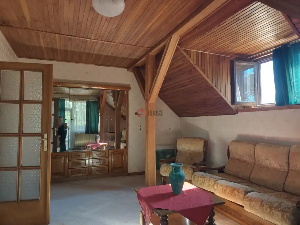 Bács-Kiskun megye - Lajosmizse