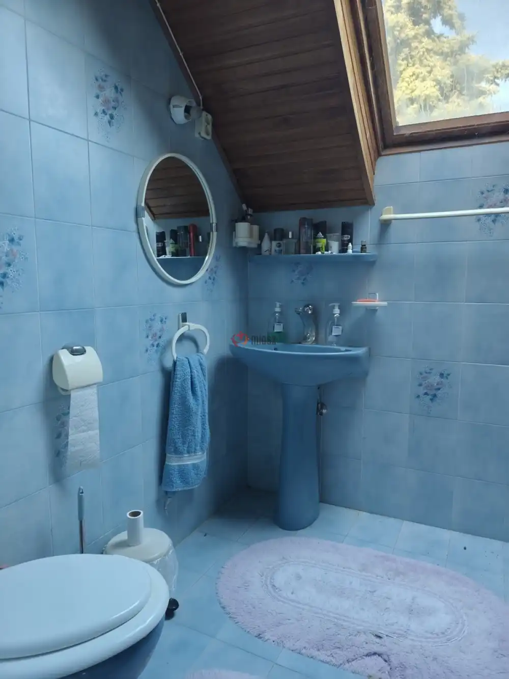 Bács-Kiskun megye - Lajosmizse