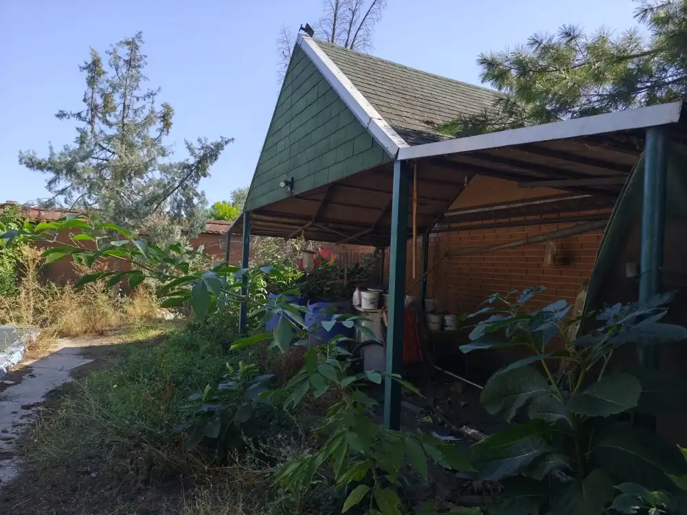 Bács-Kiskun megye - Lajosmizse