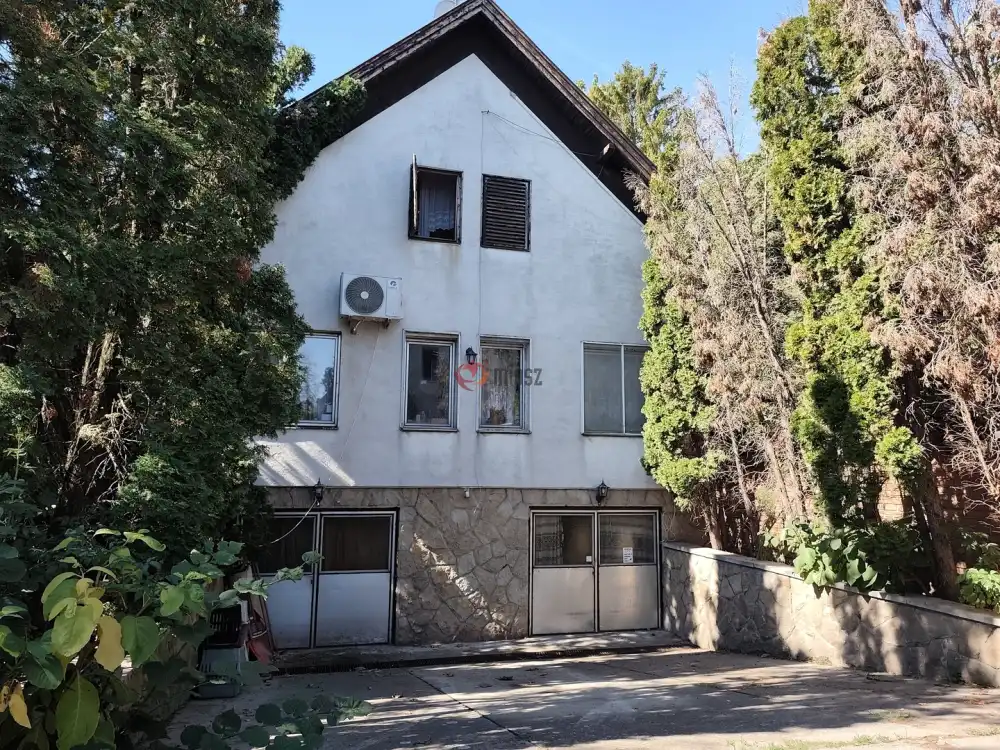 Bács-Kiskun megye - Lajosmizse