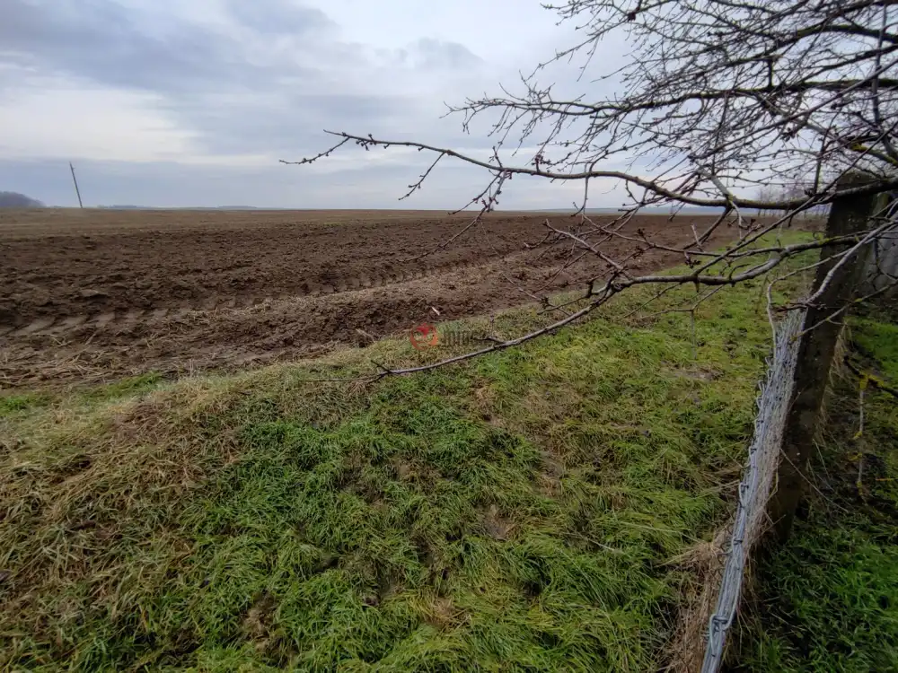 Baranya megye - Lánycsók