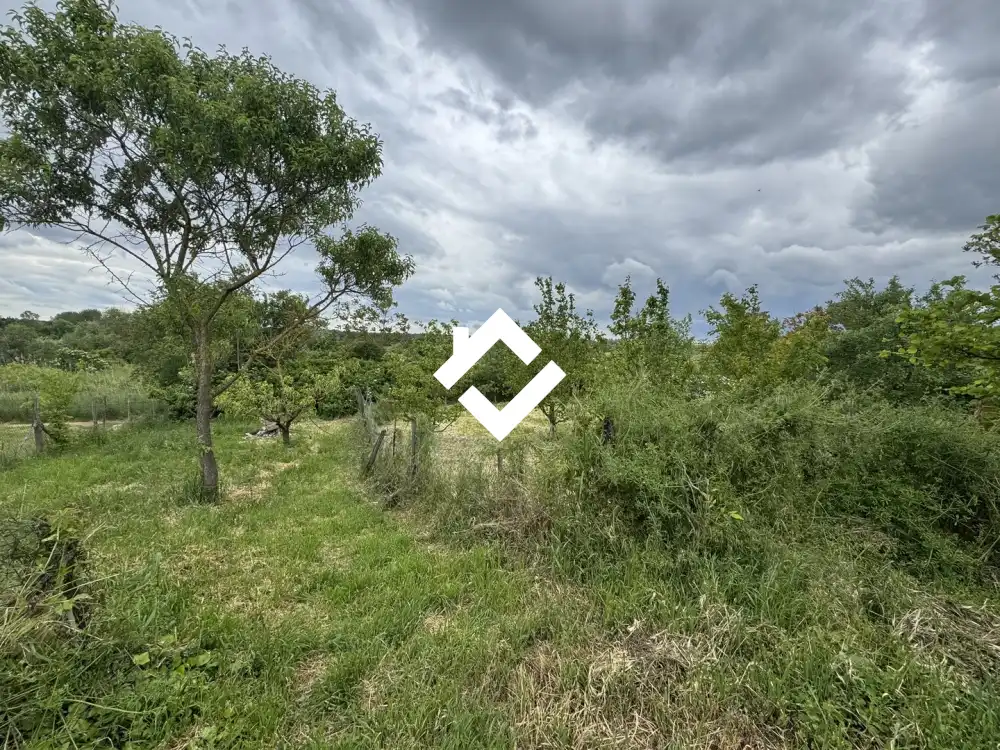 Pest megye - Makád