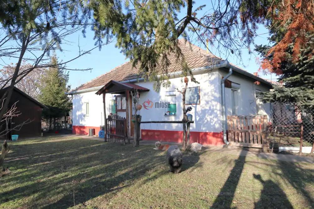 Bács-Kiskun megye - Mélykút