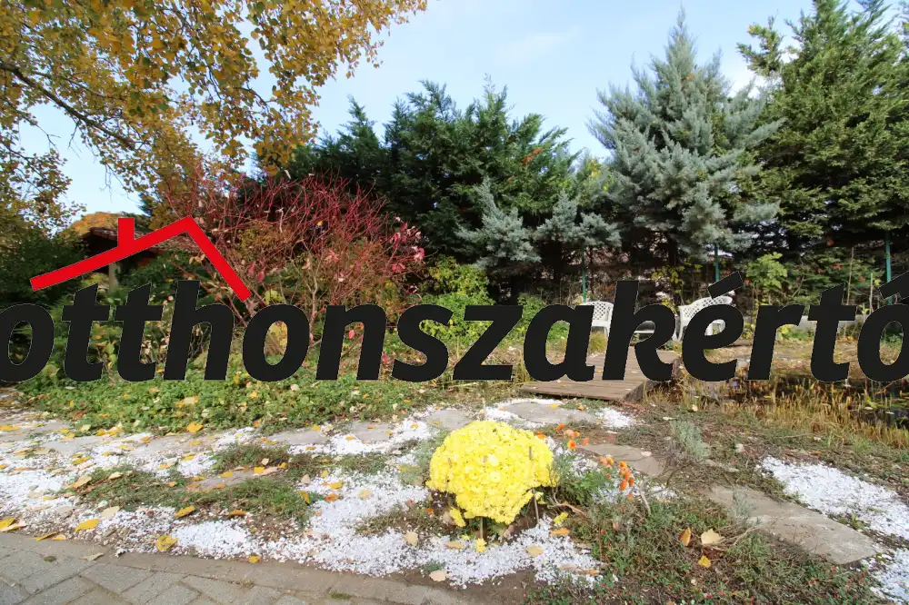 Pest megye - Mogyoród