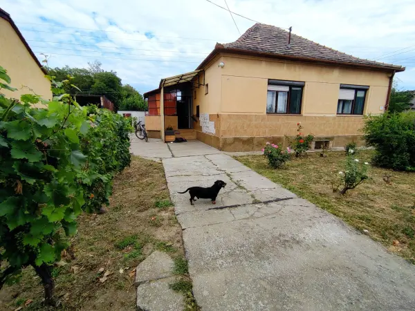 Eladó családi ház, Mohács 3 szoba 72 m² 33 M Ft