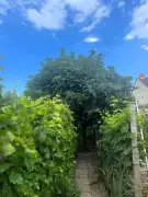 Baranya megye - Mohács