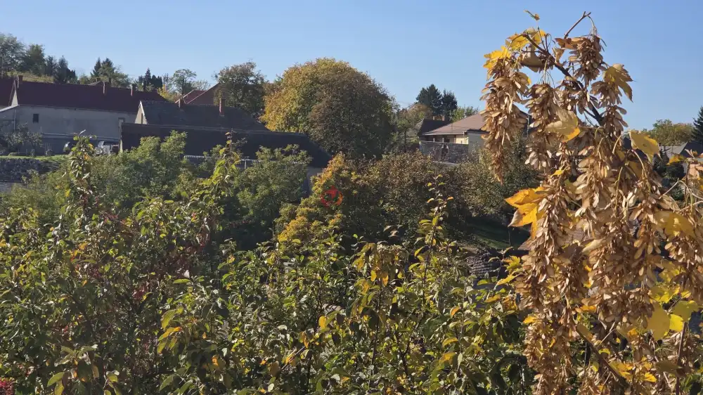 Borsod-Abaúj-Zemplén megye - Monok