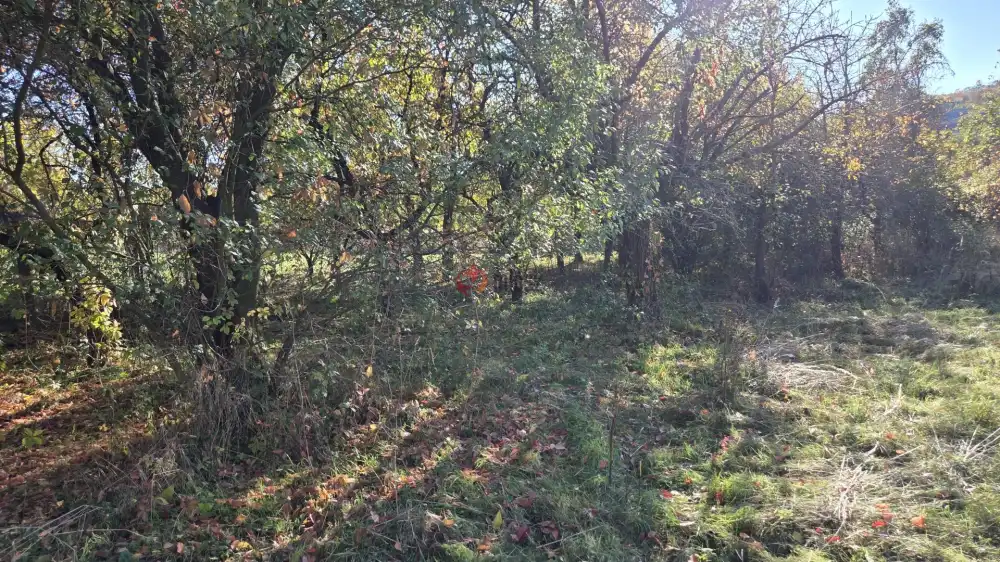 Borsod-Abaúj-Zemplén megye - Monok