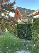 Pest megye - Monor