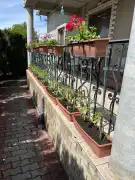 Pest megye - Monor