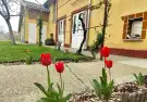 Csongrád megye - Mórahalom