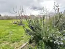 Csongrád megye - Mórahalom