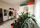 Csongrád megye - Mórahalom