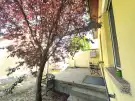 Csongrád megye - Mórahalom