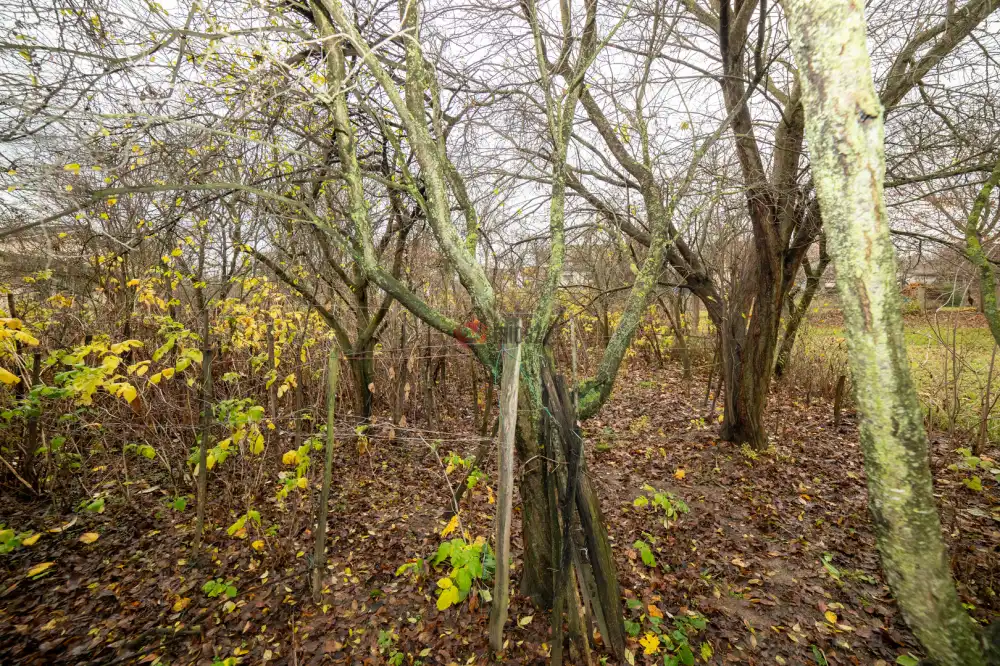 Nógrád megye - Nógrádkövesd