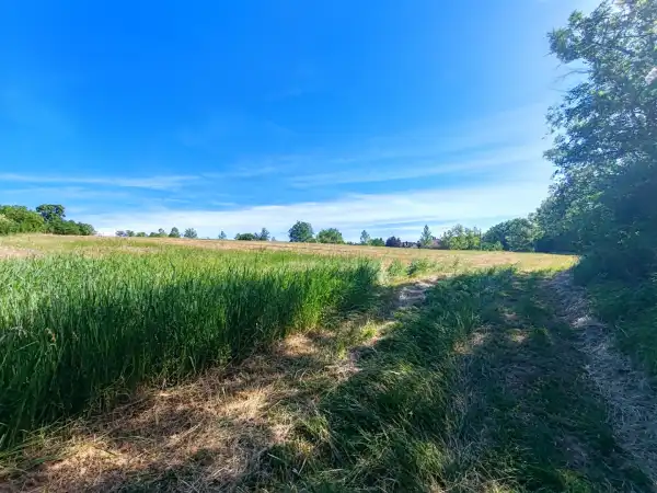 Eladó családi ház, Nógrádsáp 2 szoba 49 m² 15 M Ft