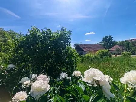 eladó családi ház, Nógrádsáp