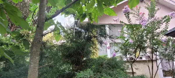 Eladó családi ház, Nyíregyháza 2+2 szoba 120 m² 59 M Ft