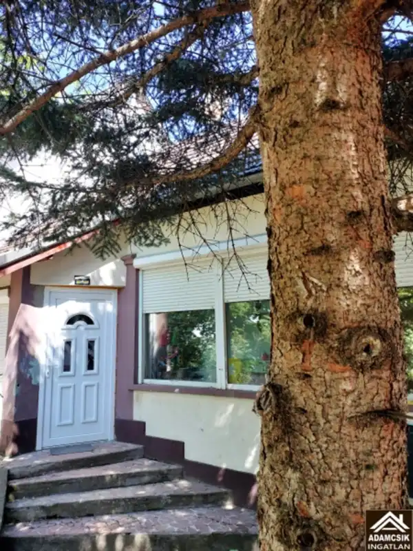 Eladó családi ház, Örkény 4 szoba 138 m² 35.99 M Ft