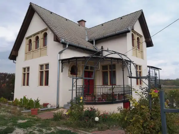 Eladó családi ház, Paloznak 6 szoba 254 m² 299 M Ft