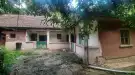 Borsod-Abaúj-Zemplén megye - Pányok