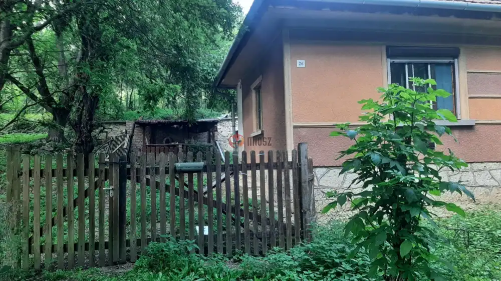 Borsod-Abaúj-Zemplén megye - Pányok