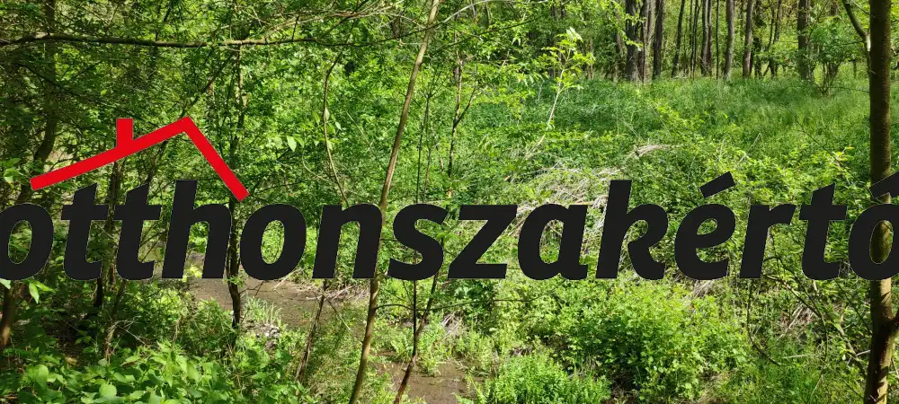 Nógrád megye - Patak