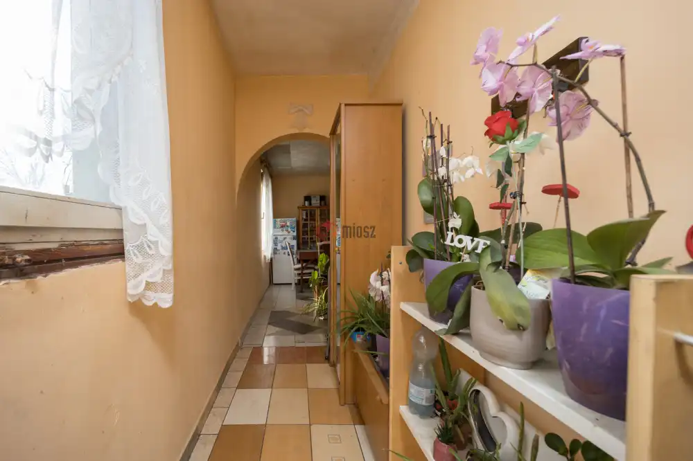 Nógrád megye - Patak