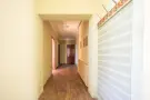 Nógrád megye - Patak