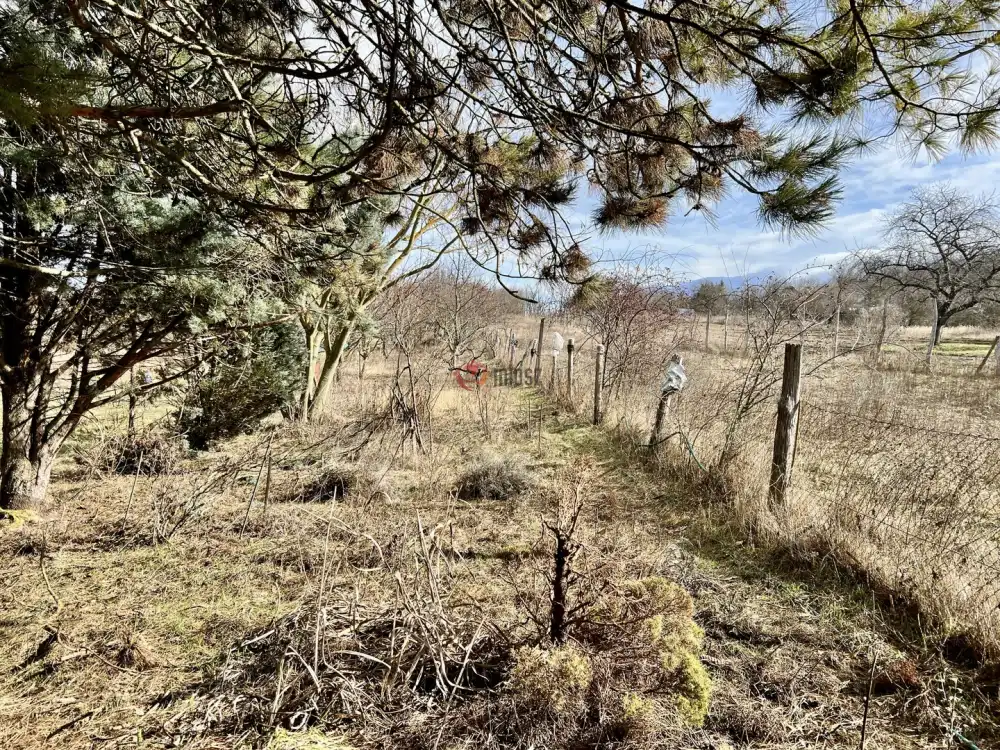 Fejér megye - Pátka