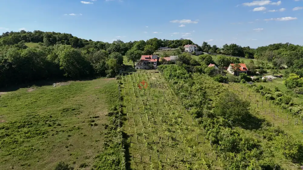 Veszprém megye - Pécsely