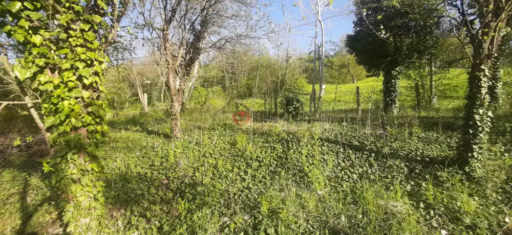 Borsod-Abaúj-Zemplén megye - Pere