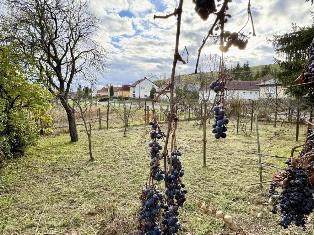 Heves megye - Pétervására