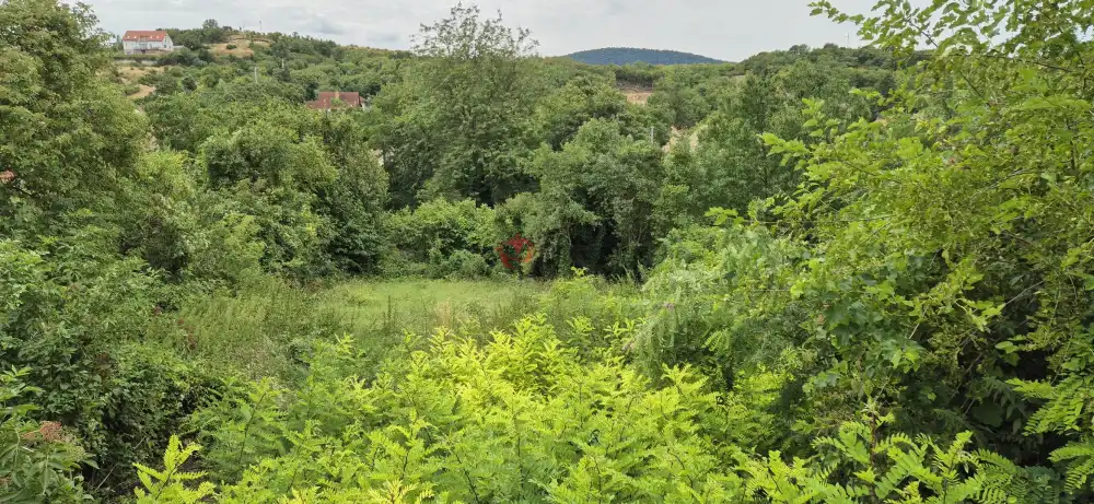 Pest megye - Pomáz