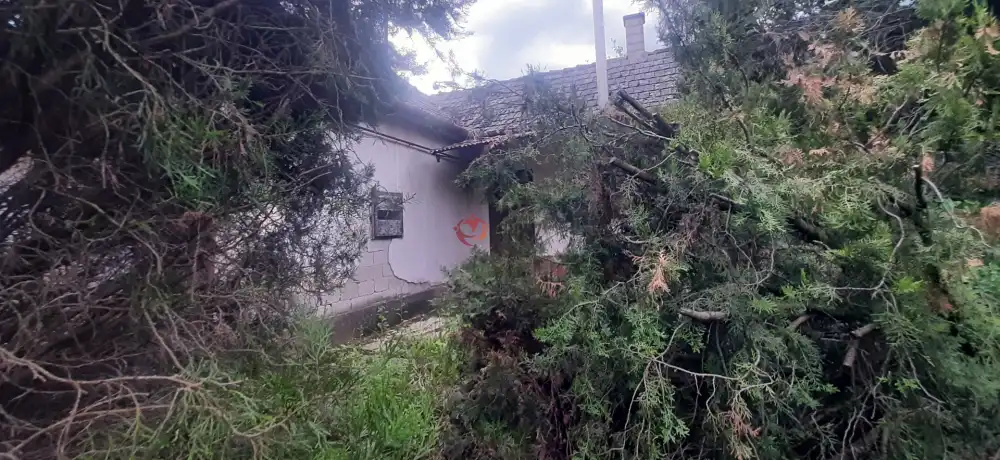 Borsod-Abaúj-Zemplén megye - Prügy