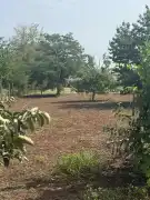 Hajdú-Bihar megye - Püspökladány