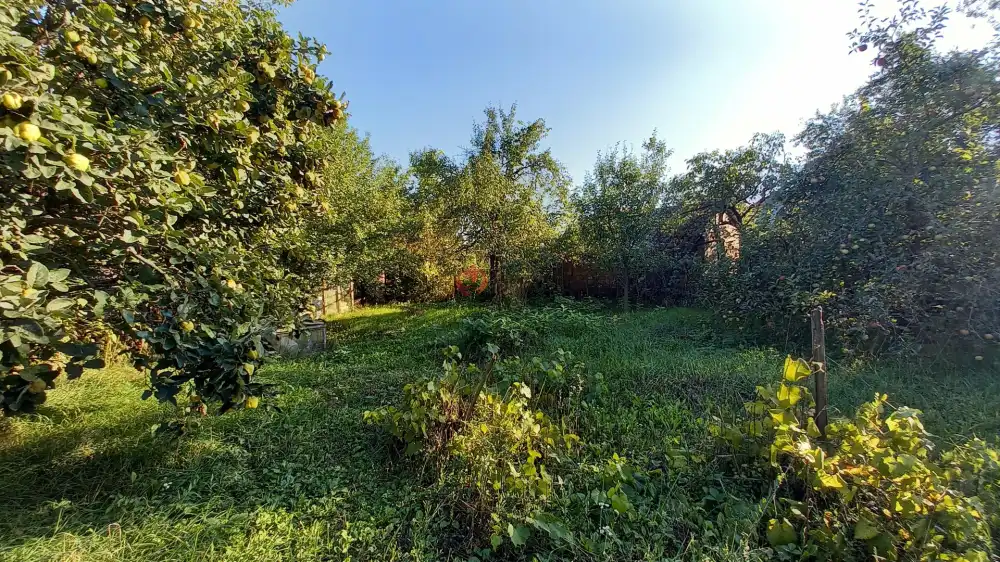 Pest megye - Püspökszilágy